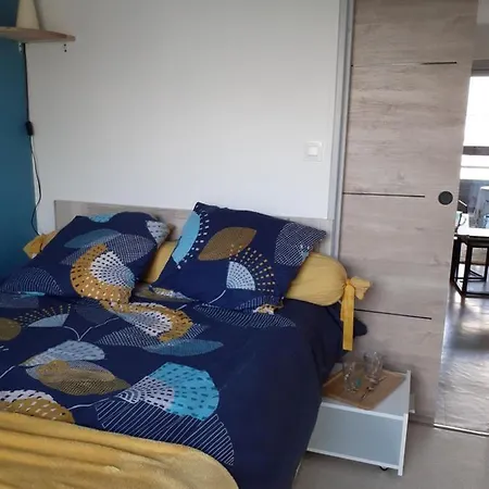 Lady Blue ,wifi,parking Animaux Admis Berck